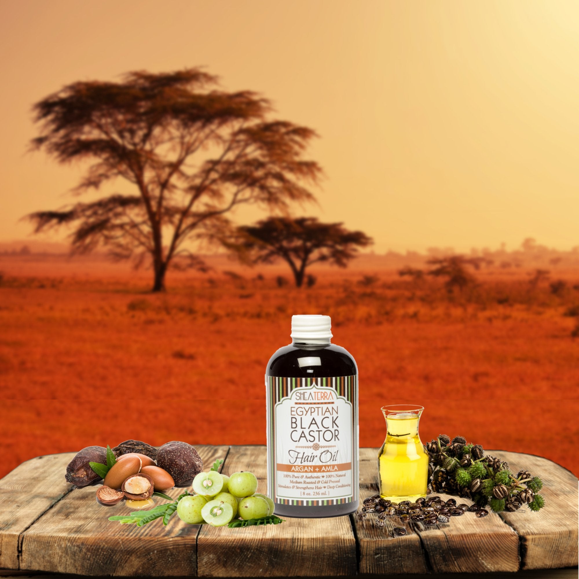 Shea Terra Organics 100 Percent Pure Egyptian Black Castor Extra Virgin Oil – Argan and Amla | All-Natural Strengthening and Conditioning Hair Oil for Healthy Hair Growth and Scalp– 8 oz